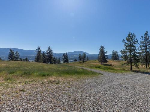 4609 Kamloops Shuswap Road, Kamloops, BC - Outdoor With View