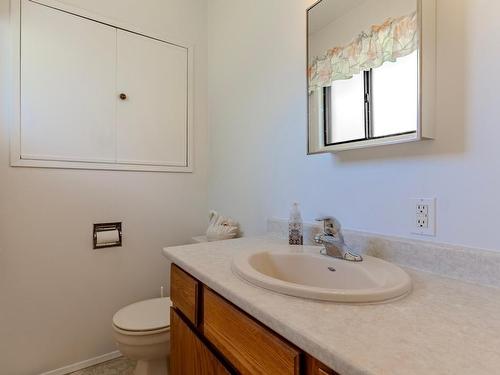 310 Cinnibar Crt, Logan Lake, BC - Indoor Photo Showing Bathroom