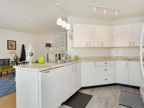 203-3133 Tillicum Rd, Saanich, BC - Indoor Photo Showing Kitchen With Double Sink