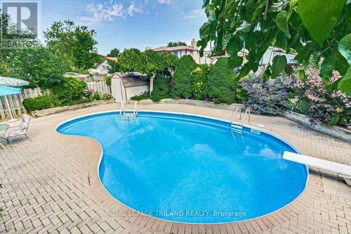 Dive In! - 33 Hillhead Road, London, ON - Outdoor With In Ground Pool With Backyard