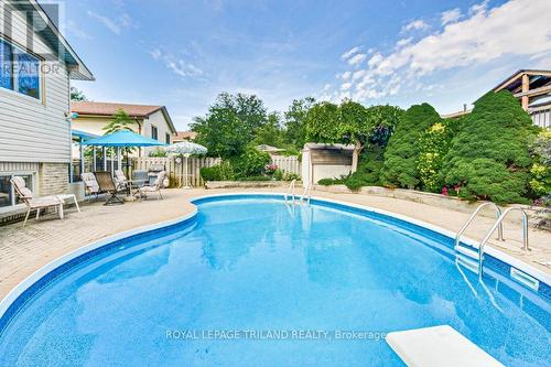 Time to Cool Off! - 33 Hillhead Road, London, ON - Outdoor With In Ground Pool With Backyard