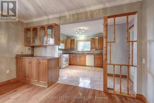 216 Highbury Avenue N, London, ON - Indoor Photo Showing Kitchen With Double Sink