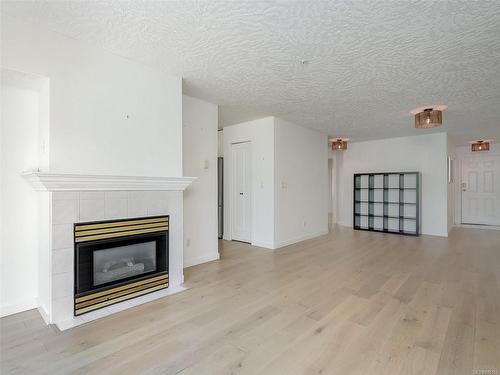 102-535 Manchester Rd, Victoria, BC - Indoor Photo Showing Living Room With Fireplace