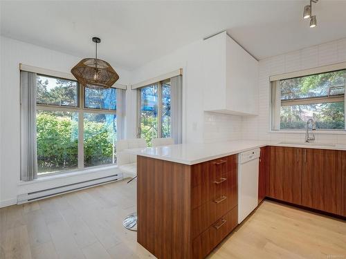 102-535 Manchester Rd, Victoria, BC - Indoor Photo Showing Kitchen