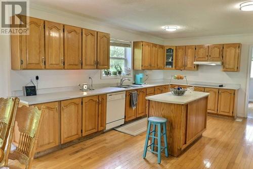 104 Merrymeeting Road, Ferryland, NL - Indoor Photo Showing Kitchen With Double Sink