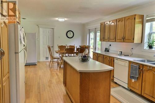 104 Merrymeeting Road, Ferryland, NL - Indoor Photo Showing Kitchen With Double Sink