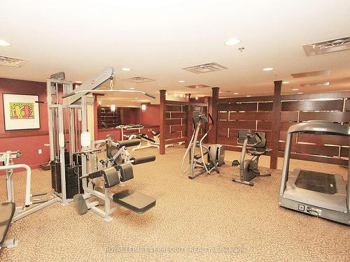 1101-100 Hayden St, Toronto, ON - Indoor Photo Showing Gym Room