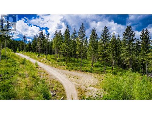 3294 (3299) Upper Mcleod Road Lot# 3299, Spallumcheen, BC 