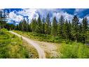 3294 (3299) Upper Mcleod Road Lot# 3299, Spallumcheen, BC 