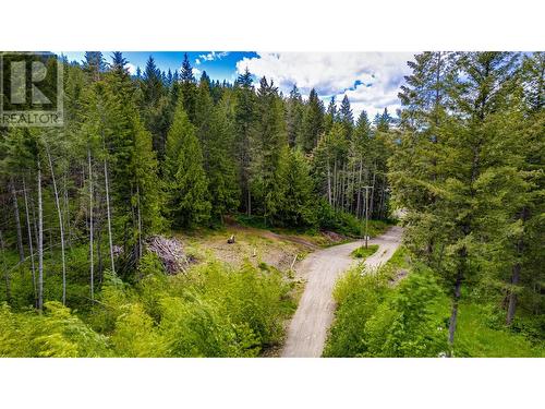 3294 (3299) Upper Mcleod Road Lot# 3299, Spallumcheen, BC 