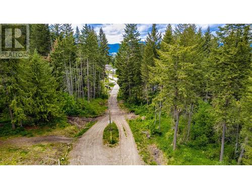 3294 (3299) Upper Mcleod Road Lot# 3299, Spallumcheen, BC 