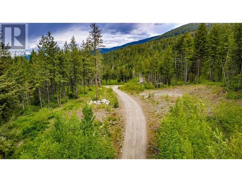 3294 (3299) Upper Mcleod Road Lot# 3299, Spallumcheen, BC 