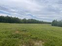 255 Acre Lot Little River, Little River, NS 