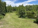 255 Acre Lot Little River, Little River, NS 