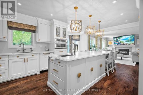 46 Gollop Crescent, Halton Hills (Georgetown), ON - Indoor Photo Showing Kitchen With Upgraded Kitchen