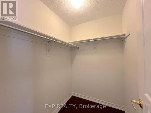 1206 Mccron Crescent, Newmarket (Stonehaven-Wyndham), ON - Indoor With Storage