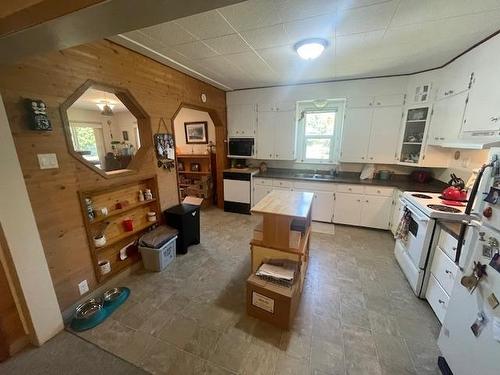 169 79Th Avenue, Grand Forks, BC - Indoor Photo Showing Kitchen With Double Sink