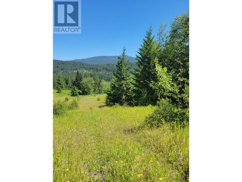 941 Chase Falkland Rd, Chase, BC 