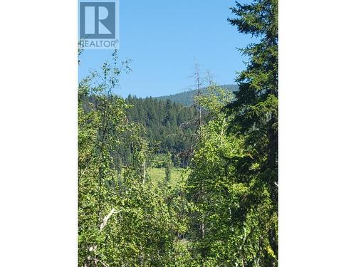 941 Chase Falkland Rd, Chase, BC 