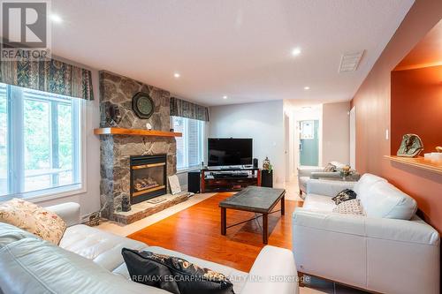 52 Waterwheel Crescent, Hamilton, ON - Indoor Photo Showing Living Room With Fireplace