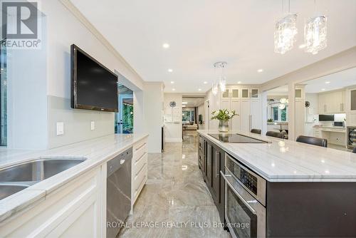 177 Breezy Pines Drive, Mississauga (Cooksville), ON - Indoor Photo Showing Kitchen With Double Sink With Upgraded Kitchen