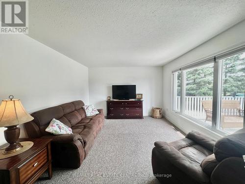 502094 On-89, East Luther Grand Valley, ON - Indoor Photo Showing Living Room