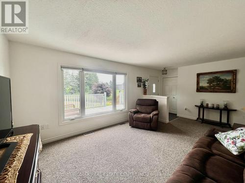 502094 On-89, East Luther Grand Valley, ON - Indoor Photo Showing Living Room