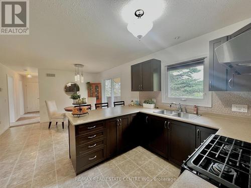 502094 On-89, East Luther Grand Valley, ON - Indoor Photo Showing Kitchen With Double Sink