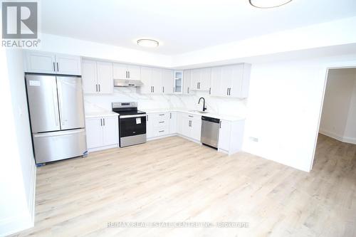 (Bsmt) - 91 Troiless Street, Caledon (Caledon Village), ON - Indoor Photo Showing Kitchen With Stainless Steel Kitchen