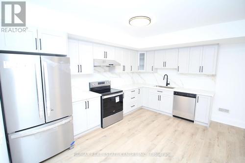 (Bsmt) - 91 Troiless Street, Caledon (Caledon Village), ON - Indoor Photo Showing Kitchen With Stainless Steel Kitchen