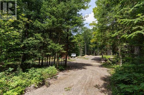 2978 Glamorgan Road, Highlands East, ON 