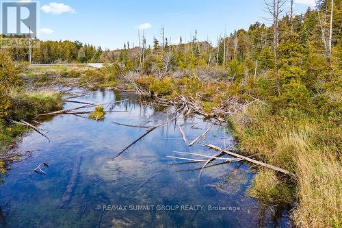 Ptlt 20 Sideroad 40, West Grey, ON 