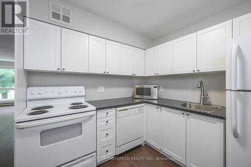 202 - 15 Jacksway Crescent, London, ON - Indoor Photo Showing Kitchen