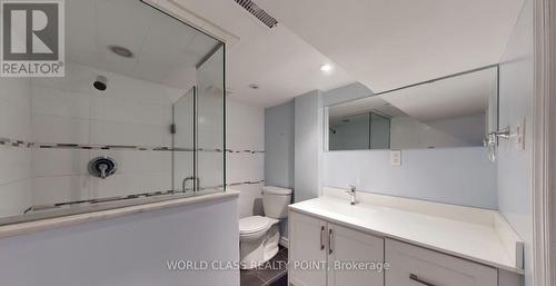 41 Thirteenth Street, Toronto, ON - Indoor Photo Showing Bathroom