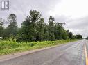 1481 Sulphide Road, Tweed, ON 