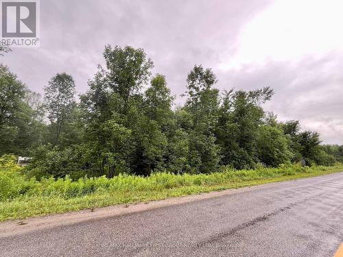 1481 Sulphide Road, Tweed, ON 