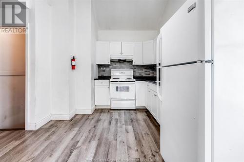 242 Josephine Avenue, Windsor, ON - Indoor Photo Showing Kitchen