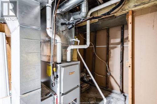 242 Josephine Avenue, Windsor, ON - Indoor Photo Showing Basement