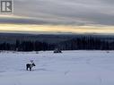 Mile318 Alaska Highway, Fort Nelson, BC 