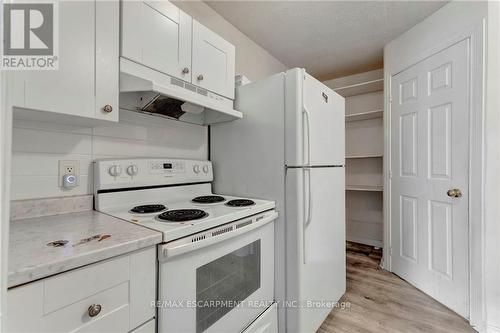 171 Balmoral Avenue N, Hamilton, ON - Indoor Photo Showing Kitchen