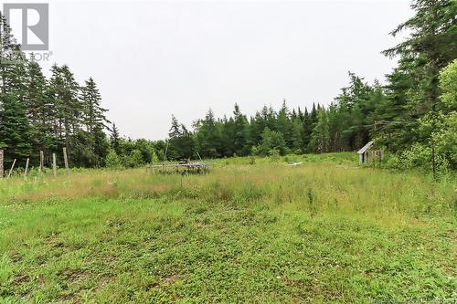 520 Route 820, Baxters Corner, NB - Outdoor With View