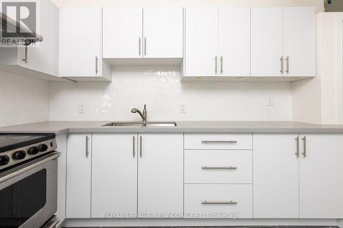 2Nd Flr - 295 Queen Street E, Toronto (Moss Park), ON - Indoor Photo Showing Kitchen With Double Sink