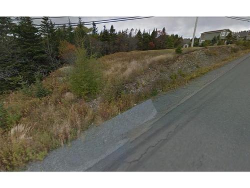 266-274 Old Broad Cove Road, St. Phillips, NL 