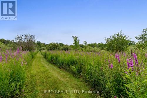 9132 Ninth Line, Halton Hills, ON - Outdoor With View