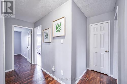 88 Fortissimo Drive, Hamilton, ON - Indoor Photo Showing Other Room