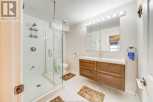 2391 Meldrum Road, Windsor, ON - Indoor Photo Showing Bathroom