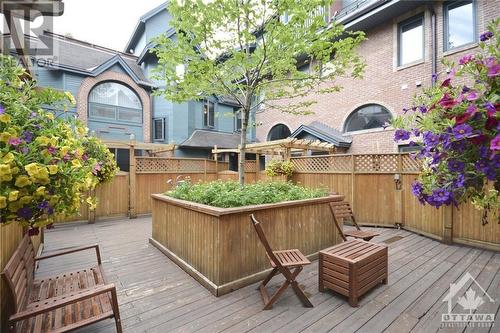 513 King Edward Avenue Unit#1, Ottawa, ON - Outdoor With Deck Patio Veranda With Exterior