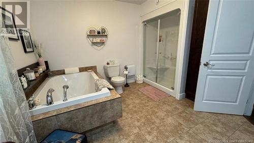 79 Chemin 36 No. 1 Road, Saint-Quentin, NB - Indoor Photo Showing Bathroom