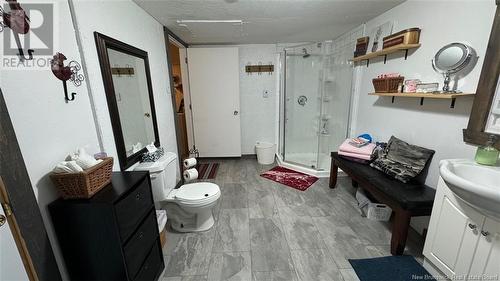 79 Chemin 36 No. 1 Road, Saint-Quentin, NB - Indoor Photo Showing Bathroom