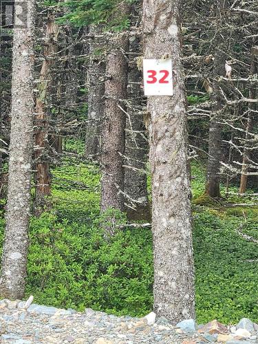 Lot 32 Cloyne Drive, Logy Bay - Middle Cove - Outer Cove, NL 